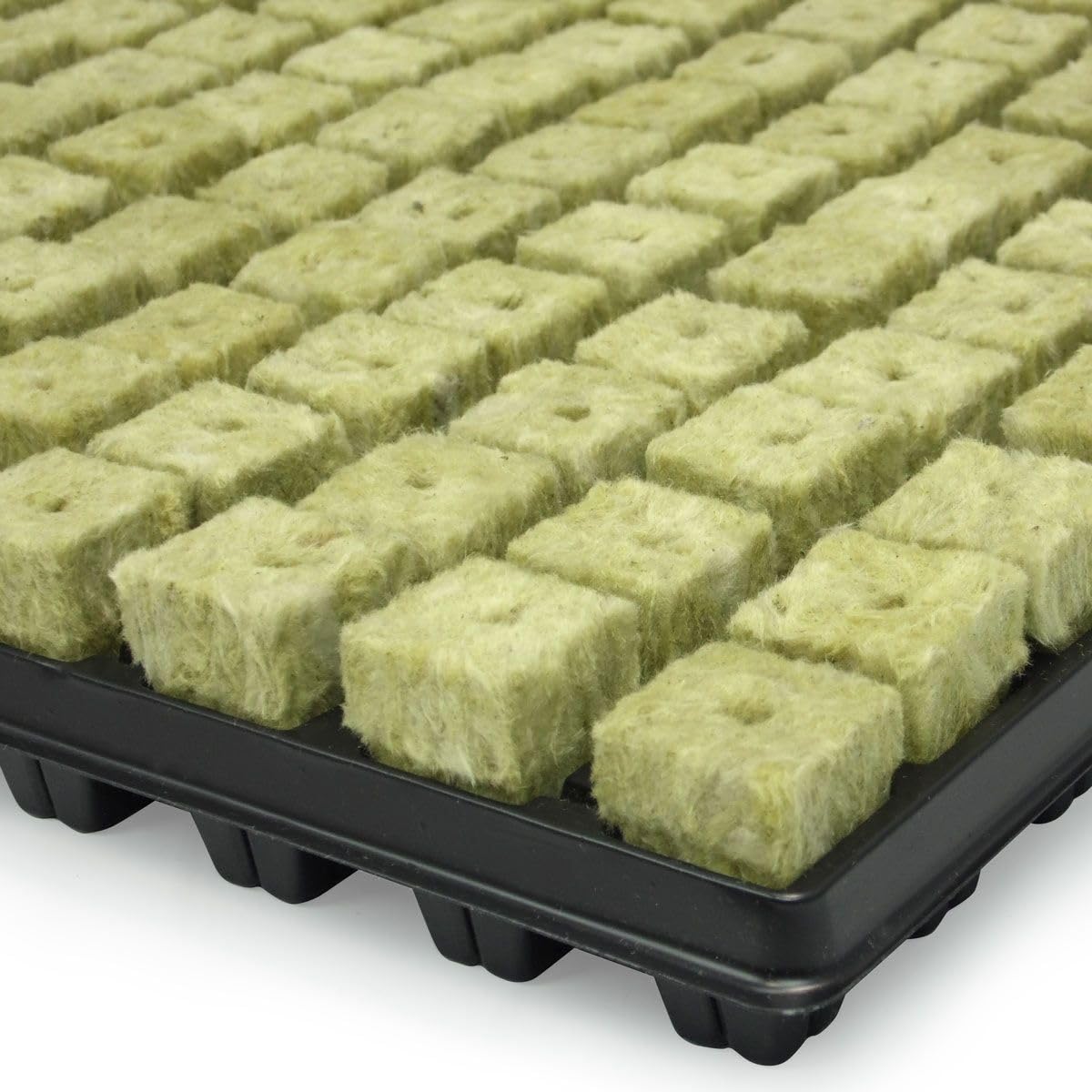 Plateau de 150 bouchons de laine de roche GRODAN