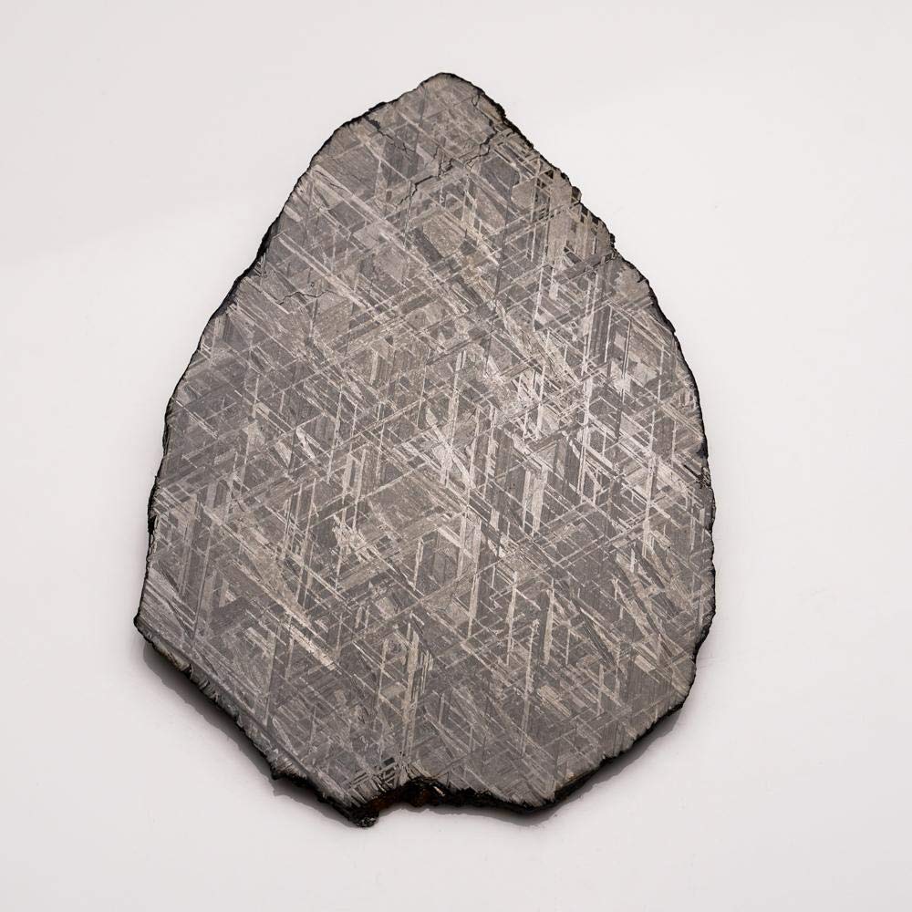 Astro Gallery of Gems Genuine Muonionalusta Meteorite Slice (660.9 Grams)