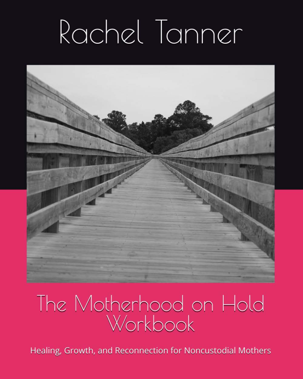 The Motherhood on Hold Workbook: Healing, Growth, and Reconnection for Noncustodial Mothers