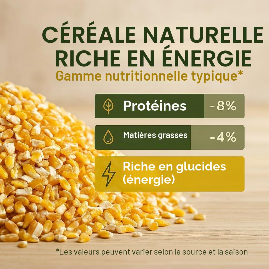 GiDeli Maïs fourrage jaune 15 kg – Grains de maïs cassés de qualité alimentaire – Nourriture pour poules, canards, chevaux et pigeons