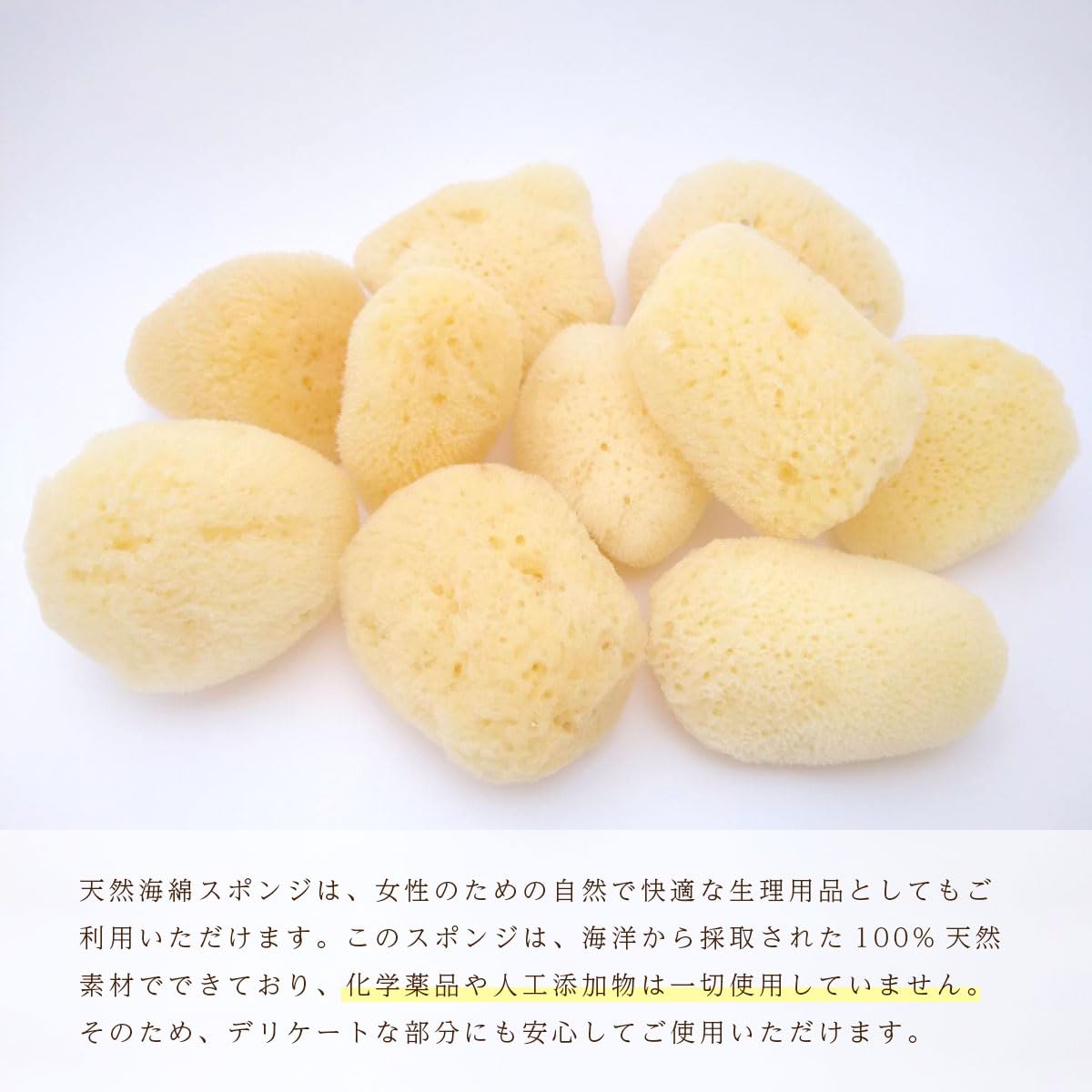 Amazon.co.jp: 天然海綿 ペアラボ シルク種 Mサイズ(4-5㎝) 業務用 