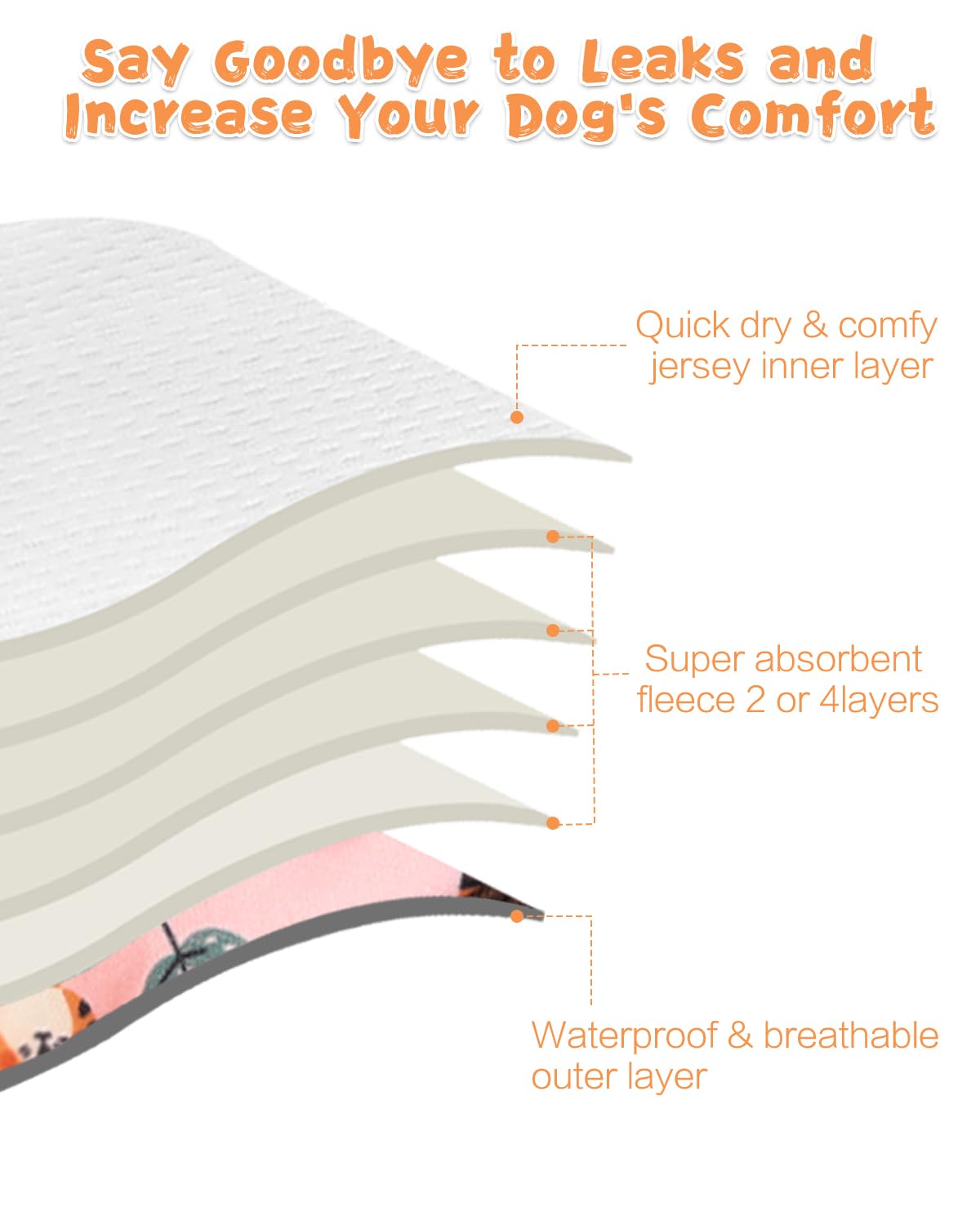 View 4