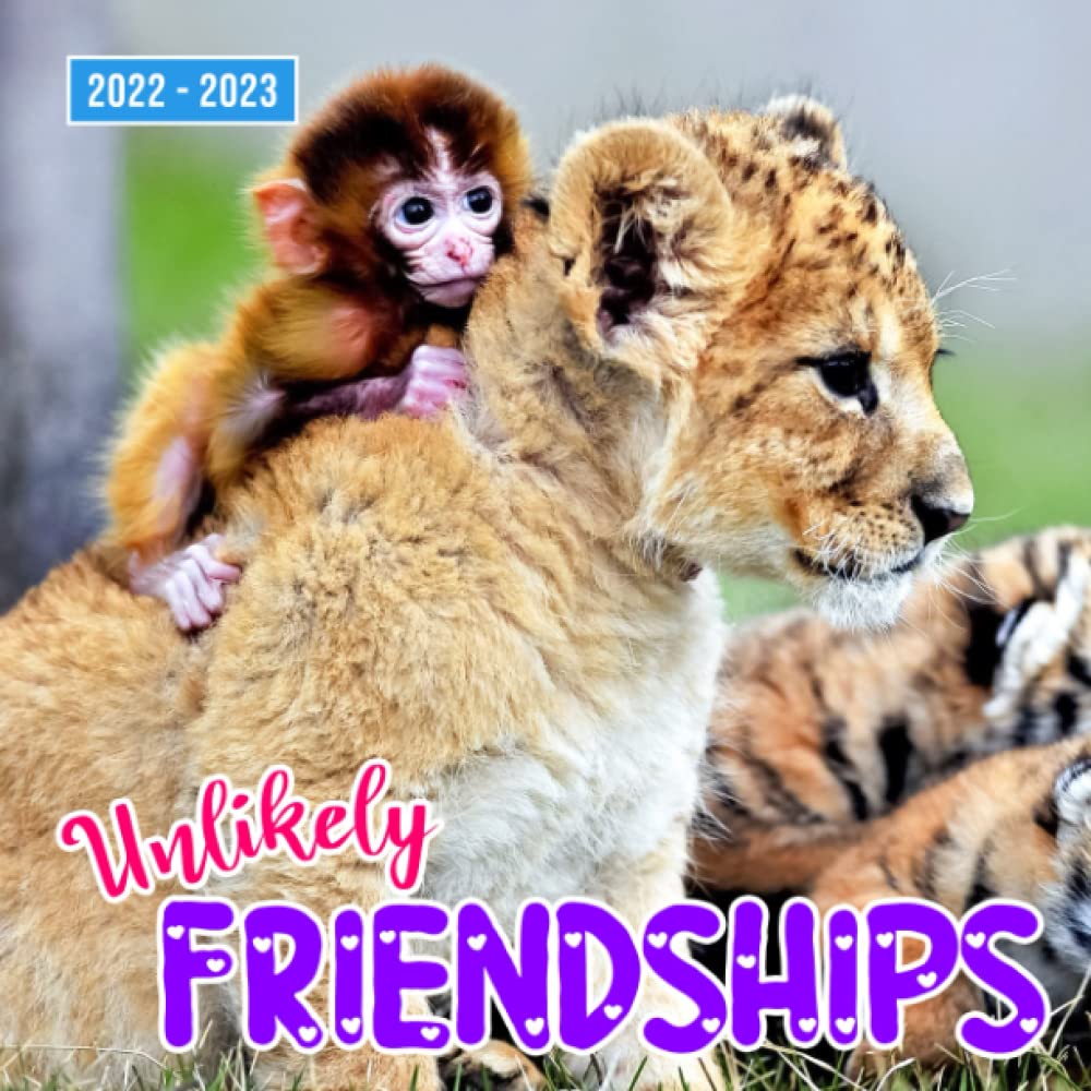 Unlikely Friendships 2022 Calendar Unusual And Lovely Best Friends
