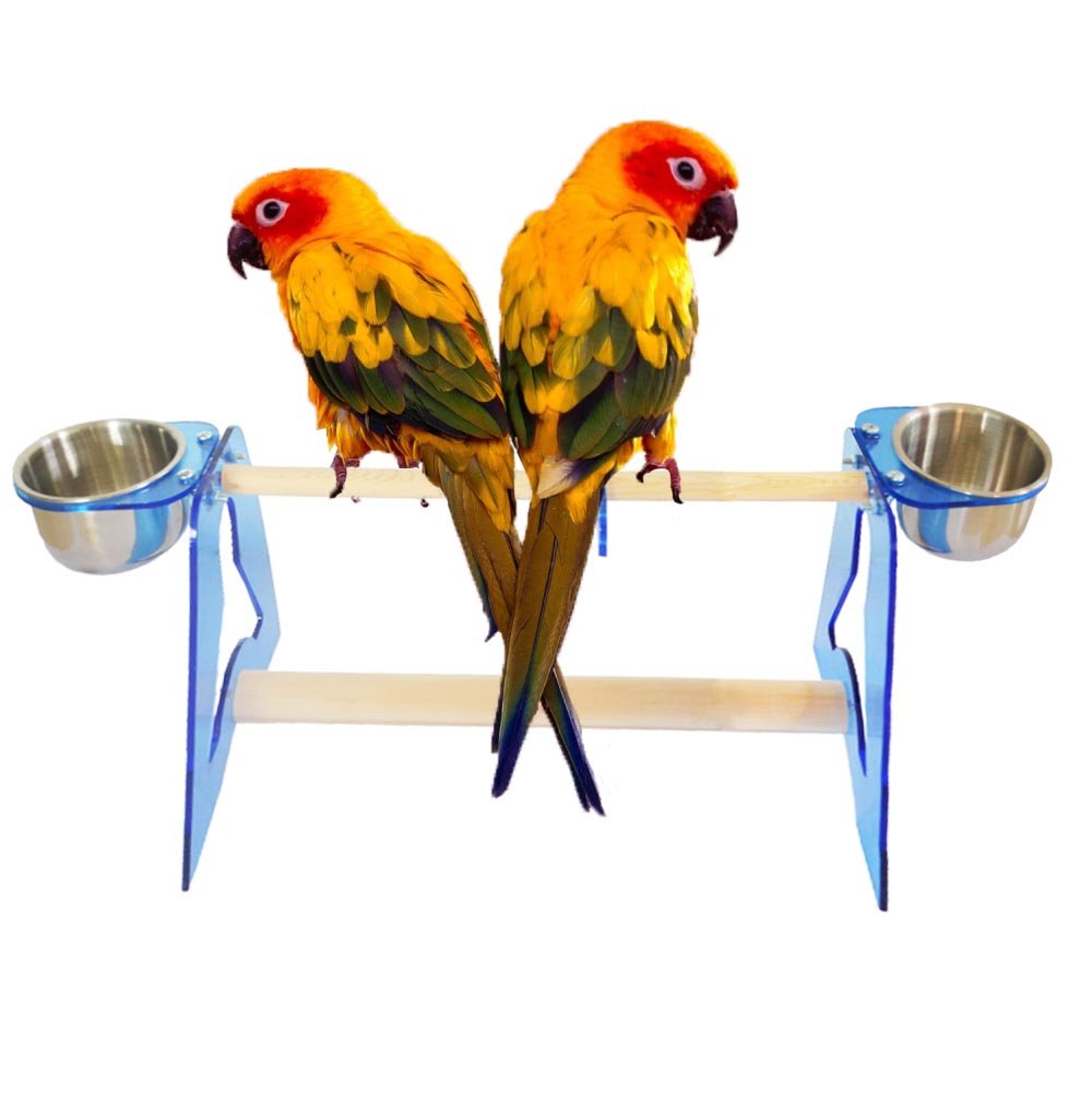Buy Parrot Acrylic Standing Parrot Cage Stands Bird Stands Pet Table