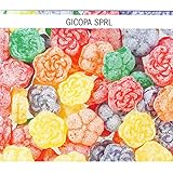 Gicopa Fleurs Assortiment Drop Vrag Lot de 1 kg (bonbons fruités en forme de fleur)