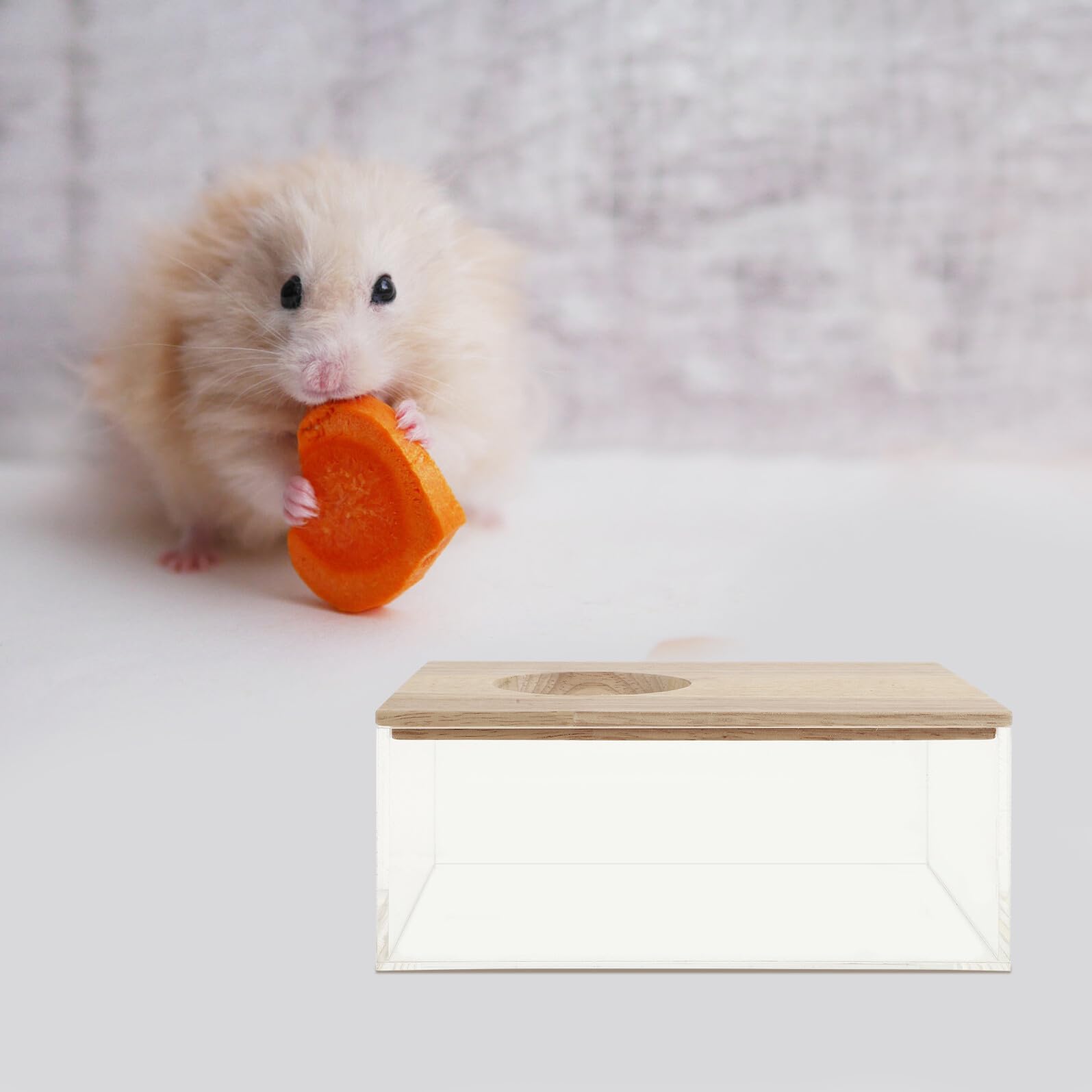 Multifunktions Sandbadewanne für Meerschweinchen und Kleine Haustiere Leichtes Acryl mit Holzrahmen Glatte Oberfläche für Zuhause und Tiergeschäft