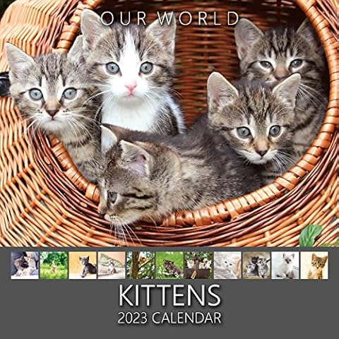 Our World Kittens 2023 Kitten Wall Calendar. Cute Cat Calendar Cover