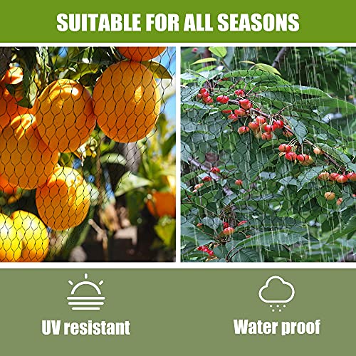 Poyee Bird Netting For Garden-6.5 X 50 Ft, Nylon Garden Netting Protect Fruit And Vegetables From Birds And Animals thumb #4