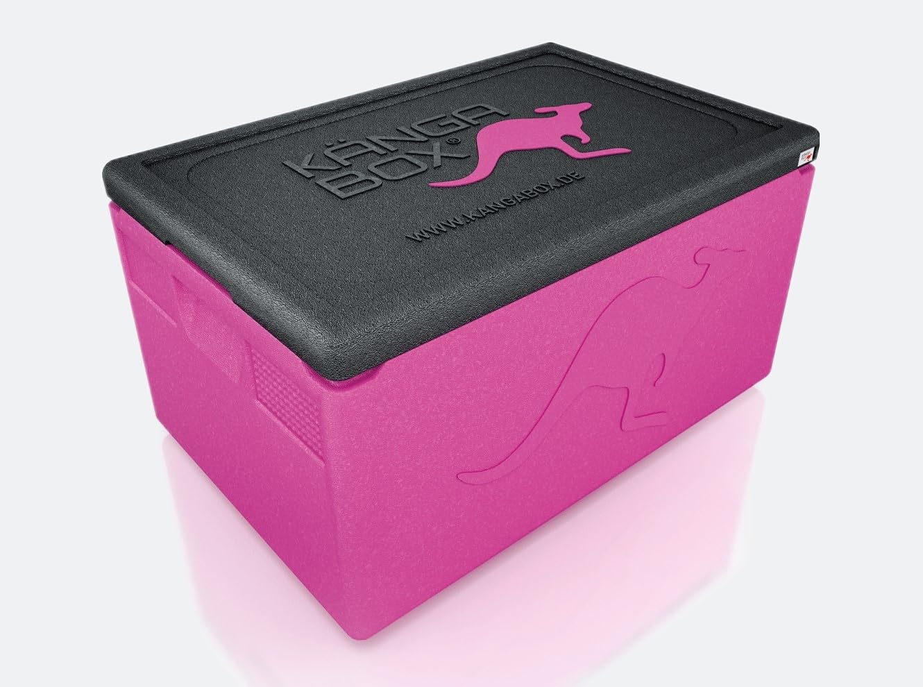 Professional GN 1/1 Magenta 48 l – pudełko termiczne do jedzenia, alternatywa dla styropianu, pojemnik do utrzymywania ciepła i lodówka, higieniczne, HACCP Ready, odporne na temperaturę od