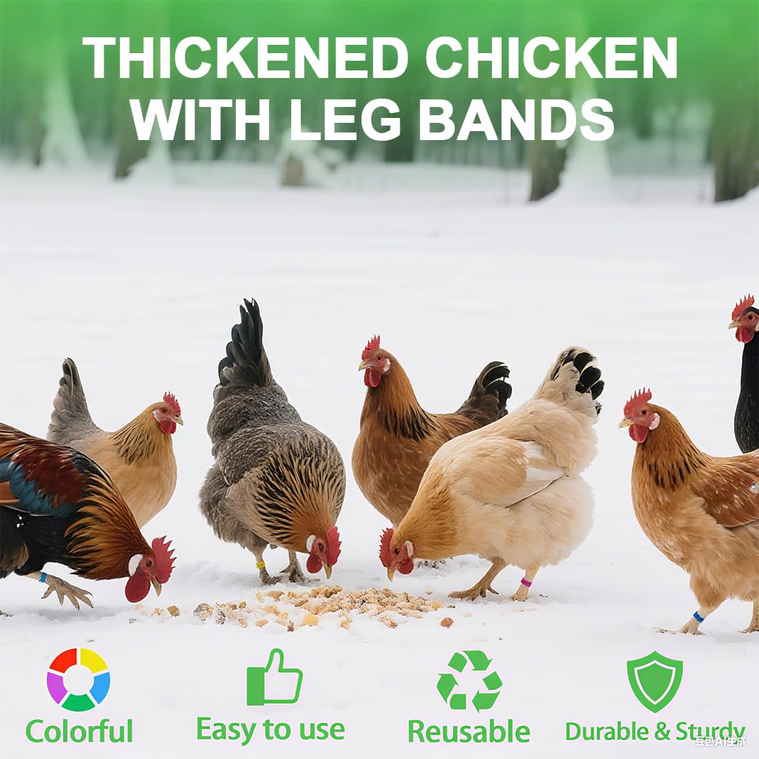 JEYORZY 60 Pcs Gallinas Anillas, Anillo de Pie de Pollo, Anillos de Marcado para Pollos, Gansos, Patos