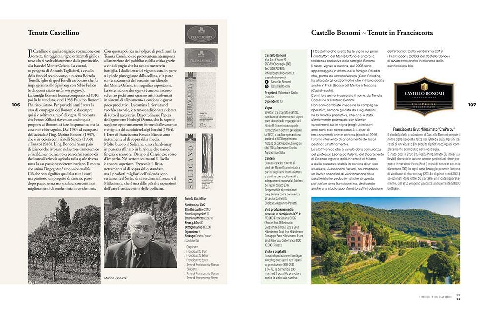 Franciacorta ieri, oggi, domani. Storie di vigne, cantine e uomini