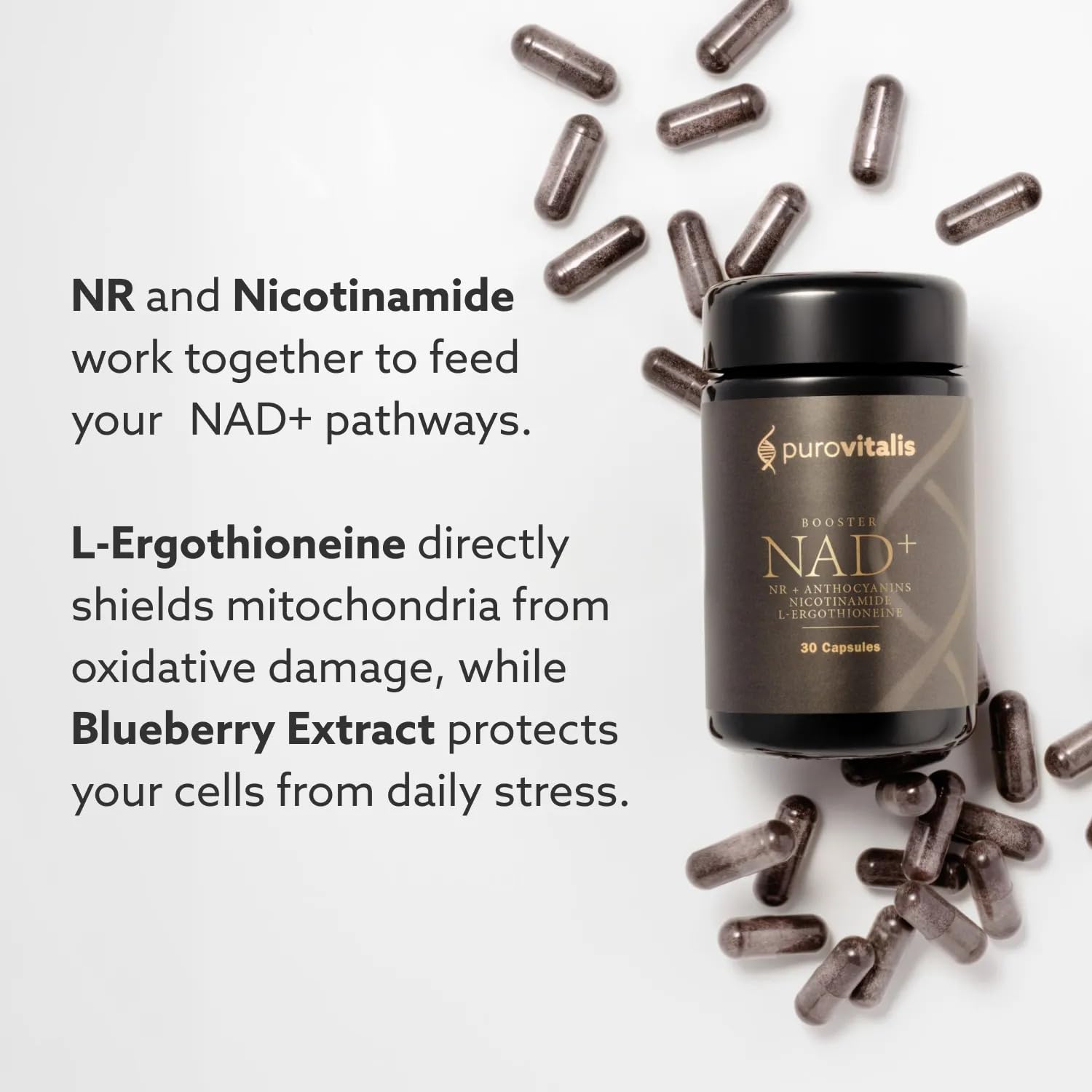 PUROVITALIS NAD+ 520mg, Nicotinamida Ribósido, Ergotioneína, 30 Cápsulas | Energía celular con L-Ergotioneína y antocianinas; reparación del ADN; suministro 1 mes, sin gluten, GMP, vegano
