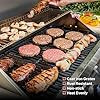 Monument Grills Larger Convertible 4-Burner Natural Gas Grill Stainless Steel Cabinet Style Propane Grills with Conversion Kit(2 Items)
