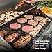 Monument Grills Larger 4+2 Burner Propane Gas Grills Stainless Steel Cabinet Style with Clearview® Lid, Knob Controls, Built-In Thermometer, Infrared Side Sear Burners & Side Burners, Outdoor Use