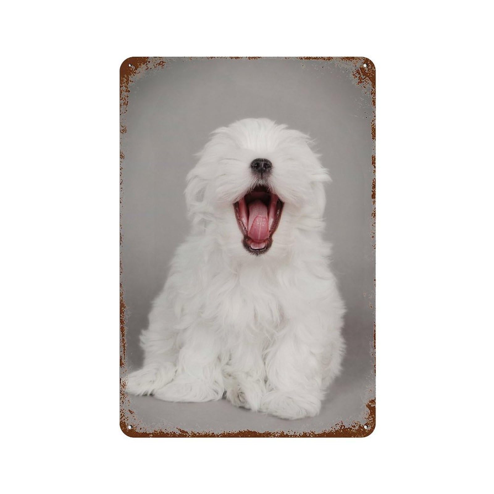 Rust Effect Yawning Maltese Puppy Vintage Rust Metal Sign 11.8"x7.9", Farmhouse Wall Decor for Basement, Hobby Room And Garage Decor