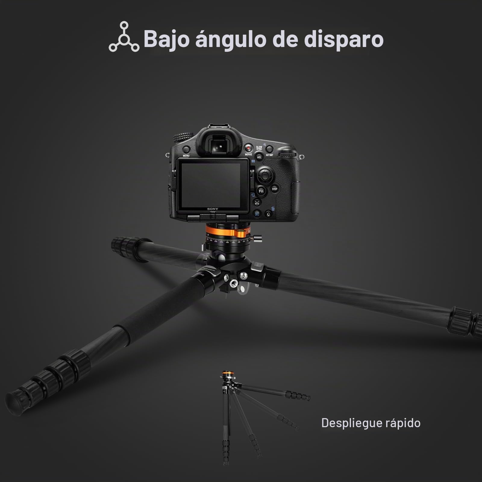 TARION Trípode de Fibra de Carbono para cámara: trípode de Viaje Compacto y Ligero, trípode de Cuenco + Cabezal de Bola único Sistema Quickset, trípode de cámara Profesional de 61 pulgadas/155 cm con
