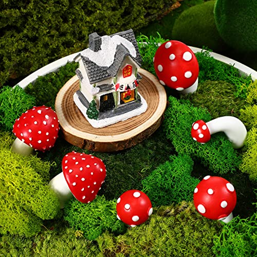6 Imán Decorativo de Champiñón Rojo y Blanco en Resina miniatura 6