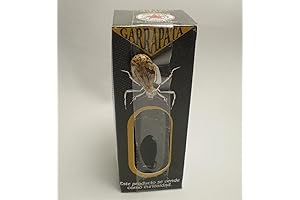 Garrapata Oil: Embark on a Spiritual Journey