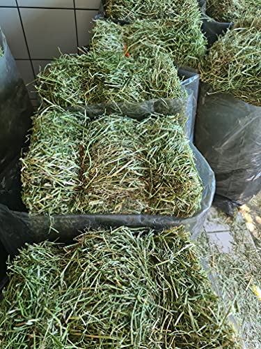 Cremas Y Lociones, Video On Demand Imagen adicional