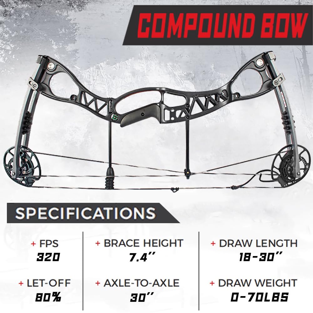 Set Arco Compound Ambidestro 0-70lbs regolabile Arco da tiro Arco da caccia Arco compound per principianti professionale adulti Kit arco compound Arco da tiro con frecce Compound bow RH/LH