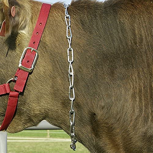 CHALLENGER Pony Western Faux Fur Lined Bottom Multicolored Rainbow Acrylic Saddle Pad 39245P