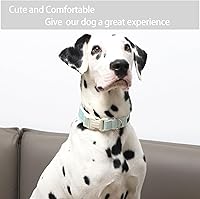 Vista 173 de Aring Pet Collar de algodón, ligero y ajustable, con hebilla de liberación rápida para perros pequeños, medianos y grandes, para cachorros, XS