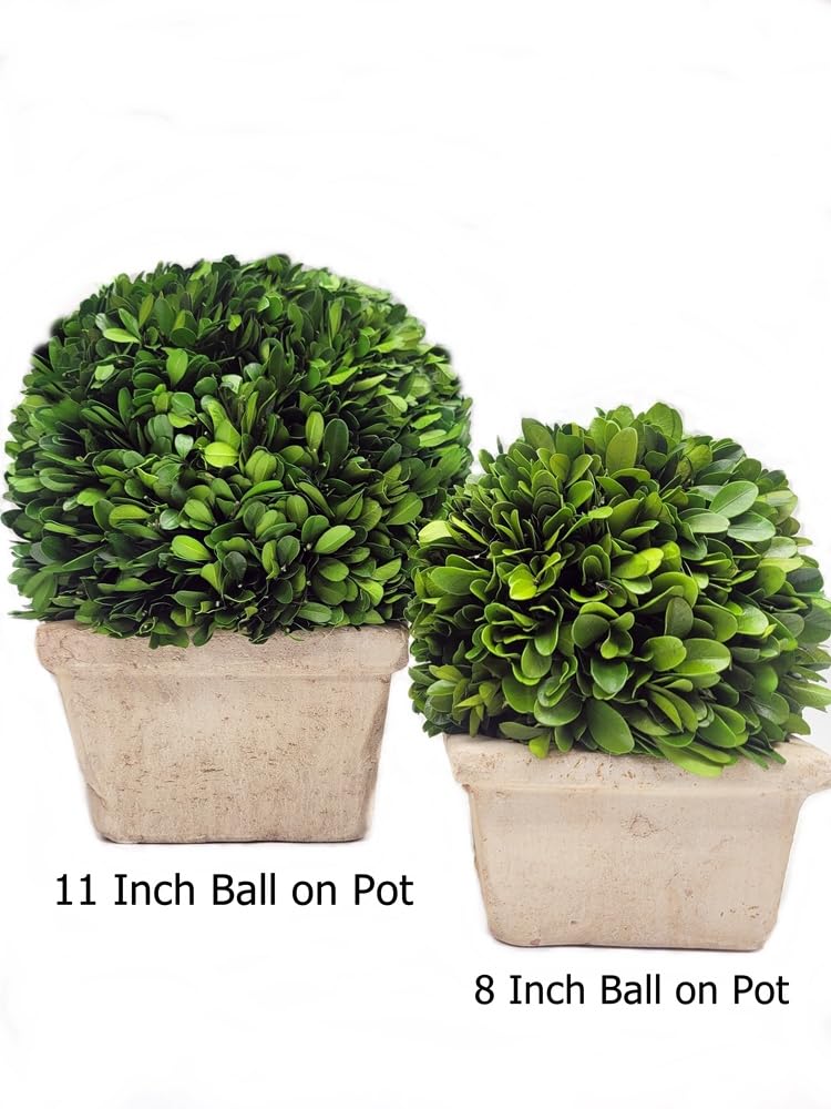 6' Fiddle Leaf Fig Ball-Shaped Topiary Silk Tree w/Pot -Green