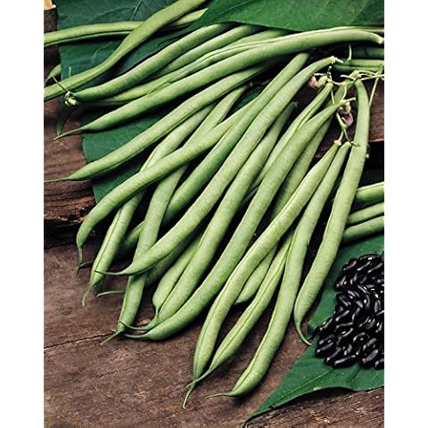 JustSeed Cobra Climbing French Bean Seeds Cover