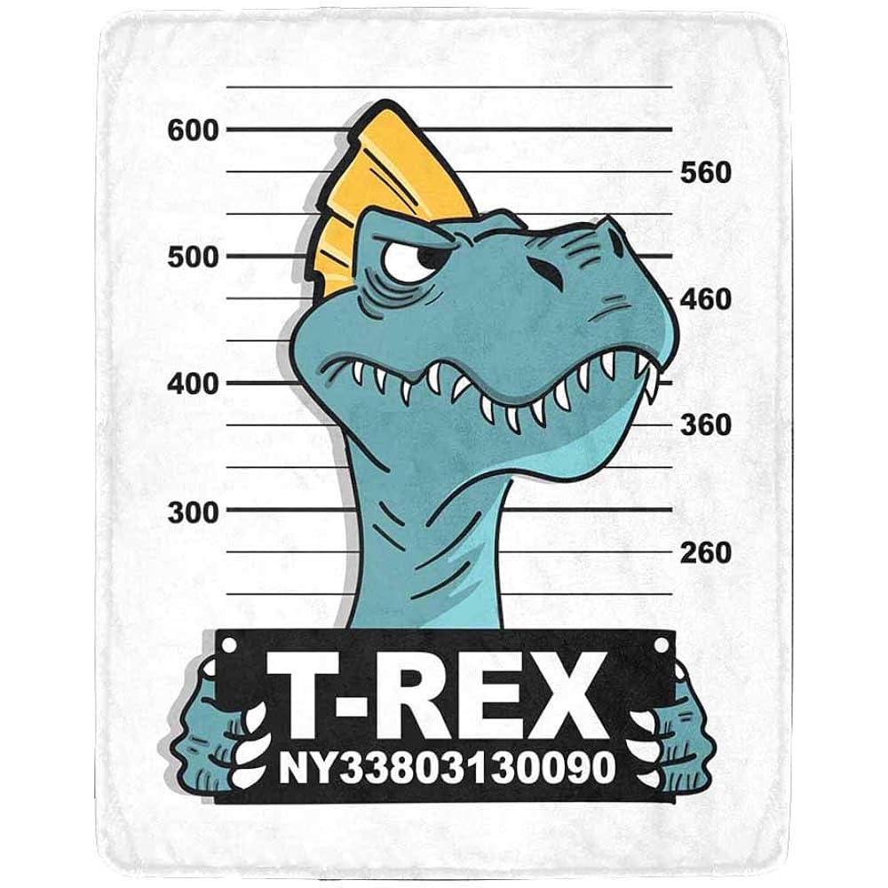 351 Fuzzy Throw Blanket Microfiber Plush Throw Blanket Super Soft Couch Blanket For Child Christmas Travel Cool Dinosaur Design M