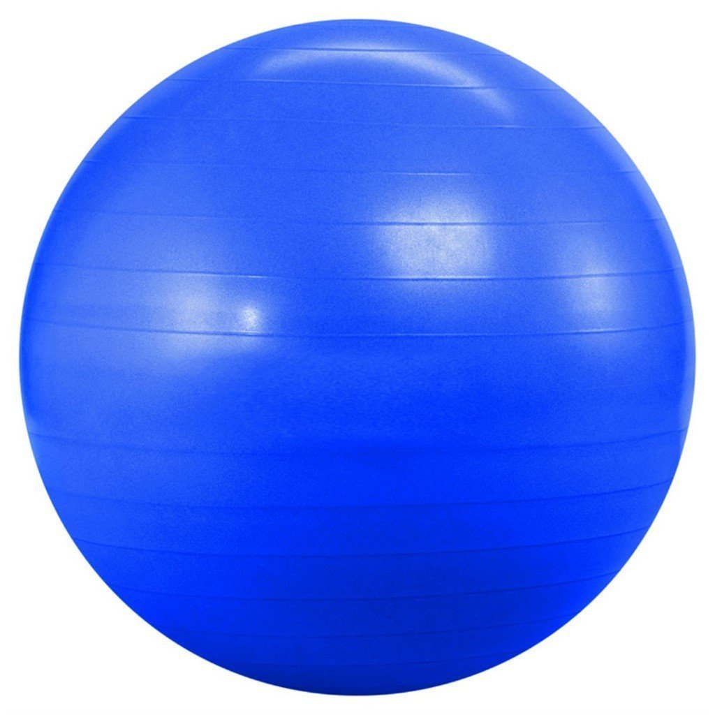 See full amazon price history chart for YOGPRO Anti-Burst Exercise Gym Ball with Pump, Anti-Slip Balance Stability, Heavy Duty Fitness Yoga Ball, Extra Thick Swiss Birthing, Exercise Equipment for Home, Exercise Ball (55 CM) YOGPRO Anti-Burst Exercise Gym Ball with Pump, Anti-Slip Balance Stability, Heavy Duty Fitness Yoga Ball, Extra Thick Swiss Birthing, Exercise Equipment for Home, Exercise Ball (55 CM) (B0C4LJPV75) Amazon Price History, Amazon Price Tracker