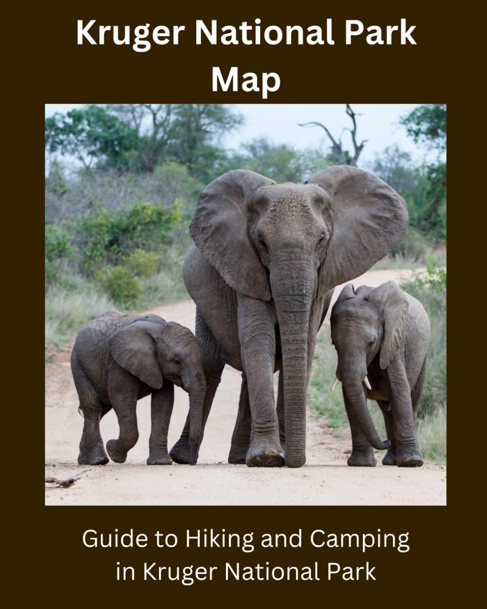 Kruger National Park Map: Guide to Hiking and Camping in Kruger National Park