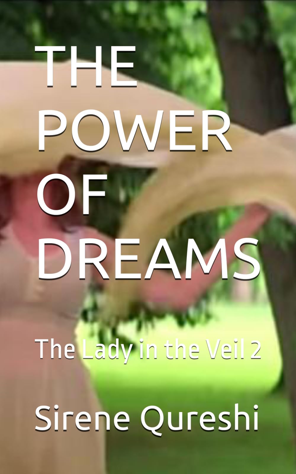 THE POWER OF DREAMS: The Lady in the Veil 2 (The LIV Series)