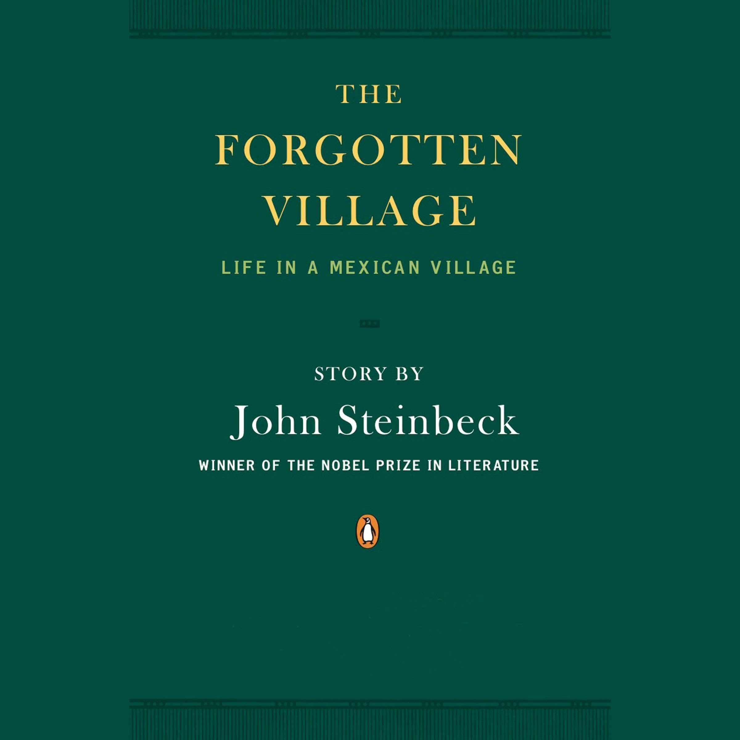 Cover art for The Forgotten Village