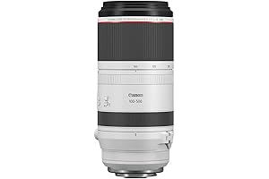 Canon RF100-500mm F4.5-7.1 L IS USM Telephoto Zoom Lens