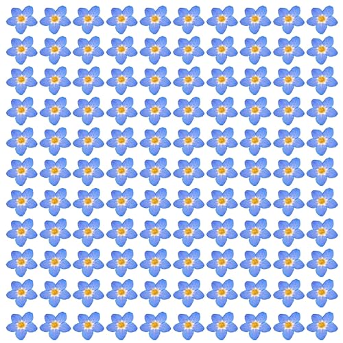 Pack 100 flores secas naturales azules prensadas miniatura 1