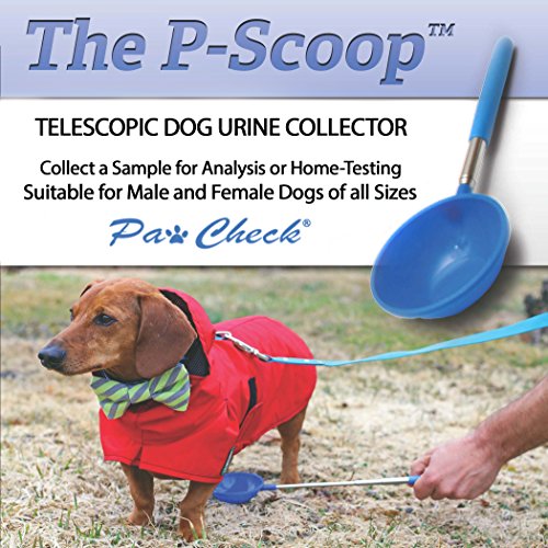 image for PawCheck P-Scoop Dog Urine Collector - Reusable and Telescopic Dog Uri
