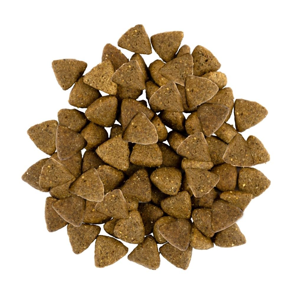 SAVORY Perros Gourmand Fresco - Alimento holístico para perros Alimento seco - Mezcla de prebióticos, probióticos y minerales - Raza pequeña - Cordero fresco - 8 kg