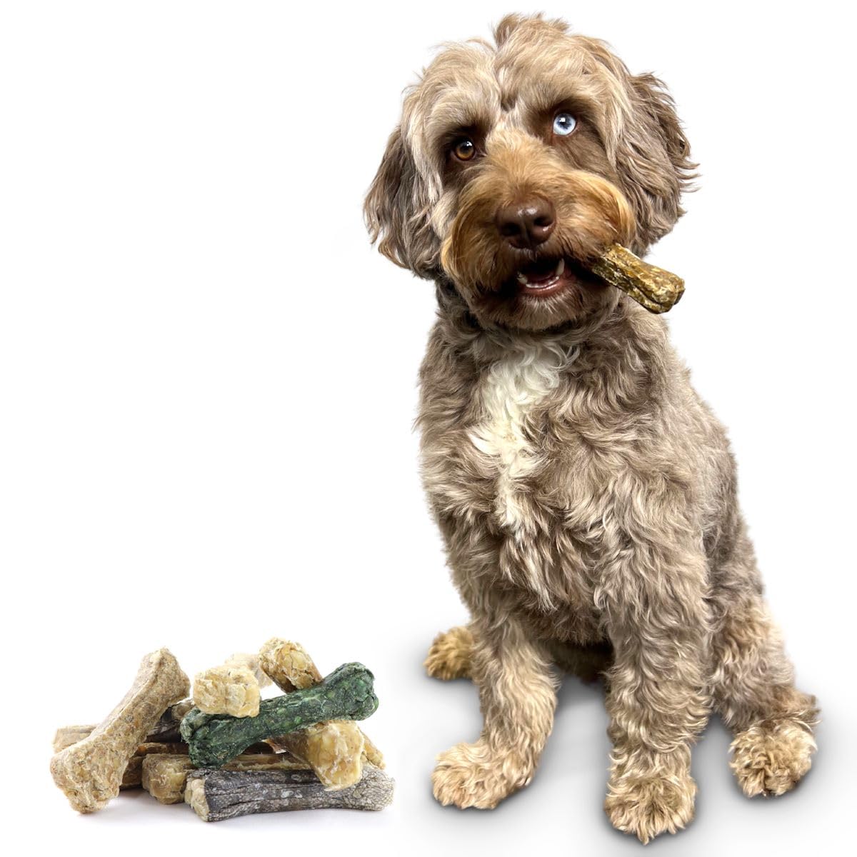 DOGBOSS Osseaux à mâcher 100% naturels spécialement pour petits chiens (2-10kg) en différentes saveurs (Pack d'essai de 10 pièces 10 cm)