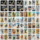 Zoom IMG-2 axingqiwu 60 italian brainrot carte Zoom IMG-2 axingqiwu 60 italian brainrot carte