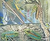 2012 raras insectos y plantas Burundi Bloque 231 (completa.edición.) nuevo con goma original ** MNH 2012 raras insectos y plantas (sellos para los coleccionistas) Invertebrados Otros (insectos, caracoles, abejas…)