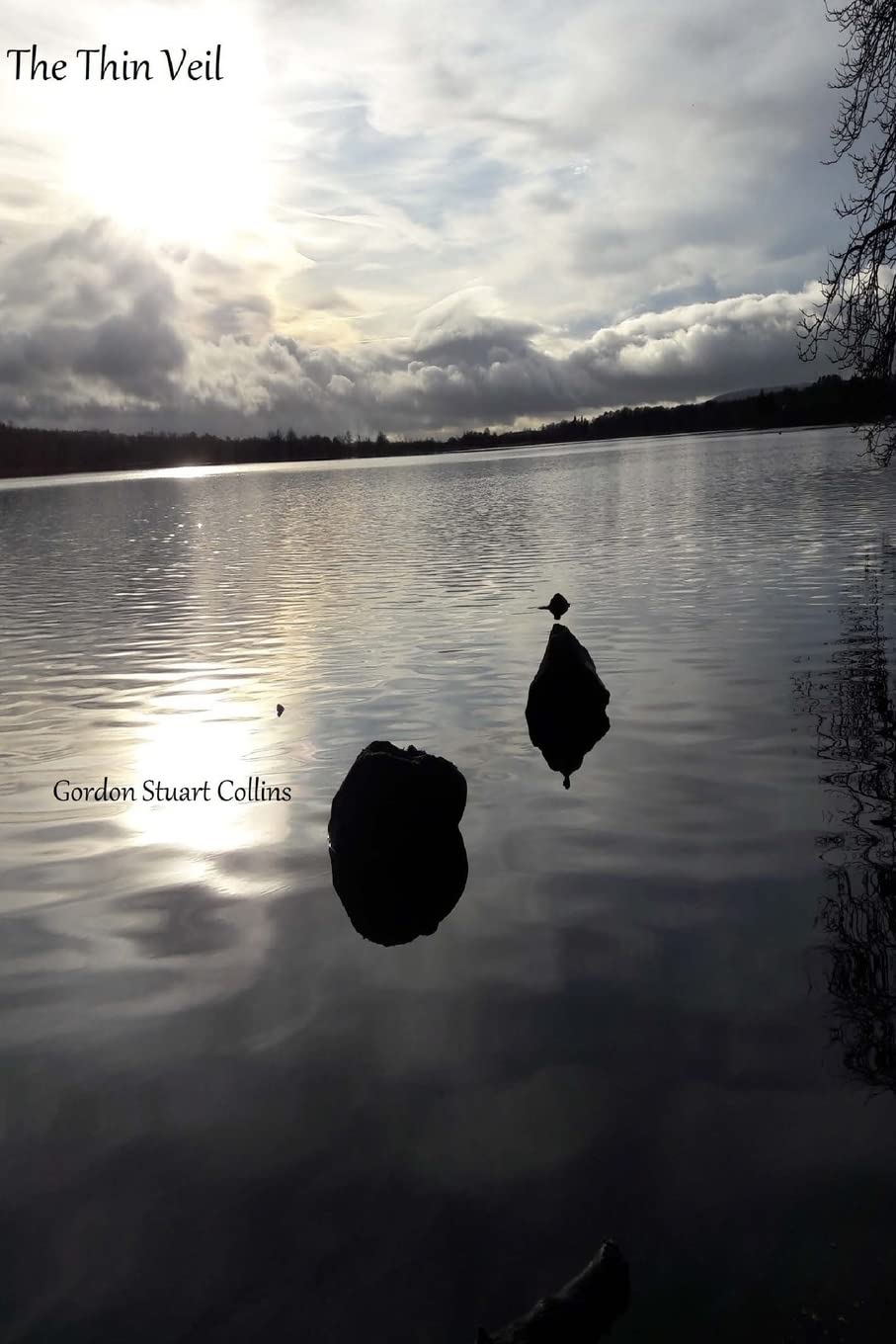 The Thin Veil: Poems about being in the world