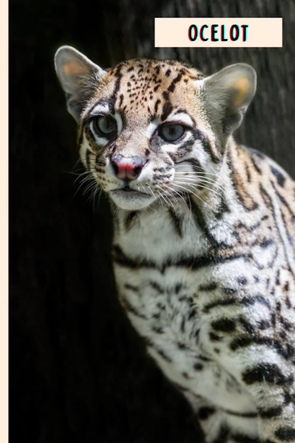 Ocelot: Composition Notebook For Ocelot Lovers , Ocelot Lined Journal ,6x9 Inches , 110 Pages ,Ocelot Diary