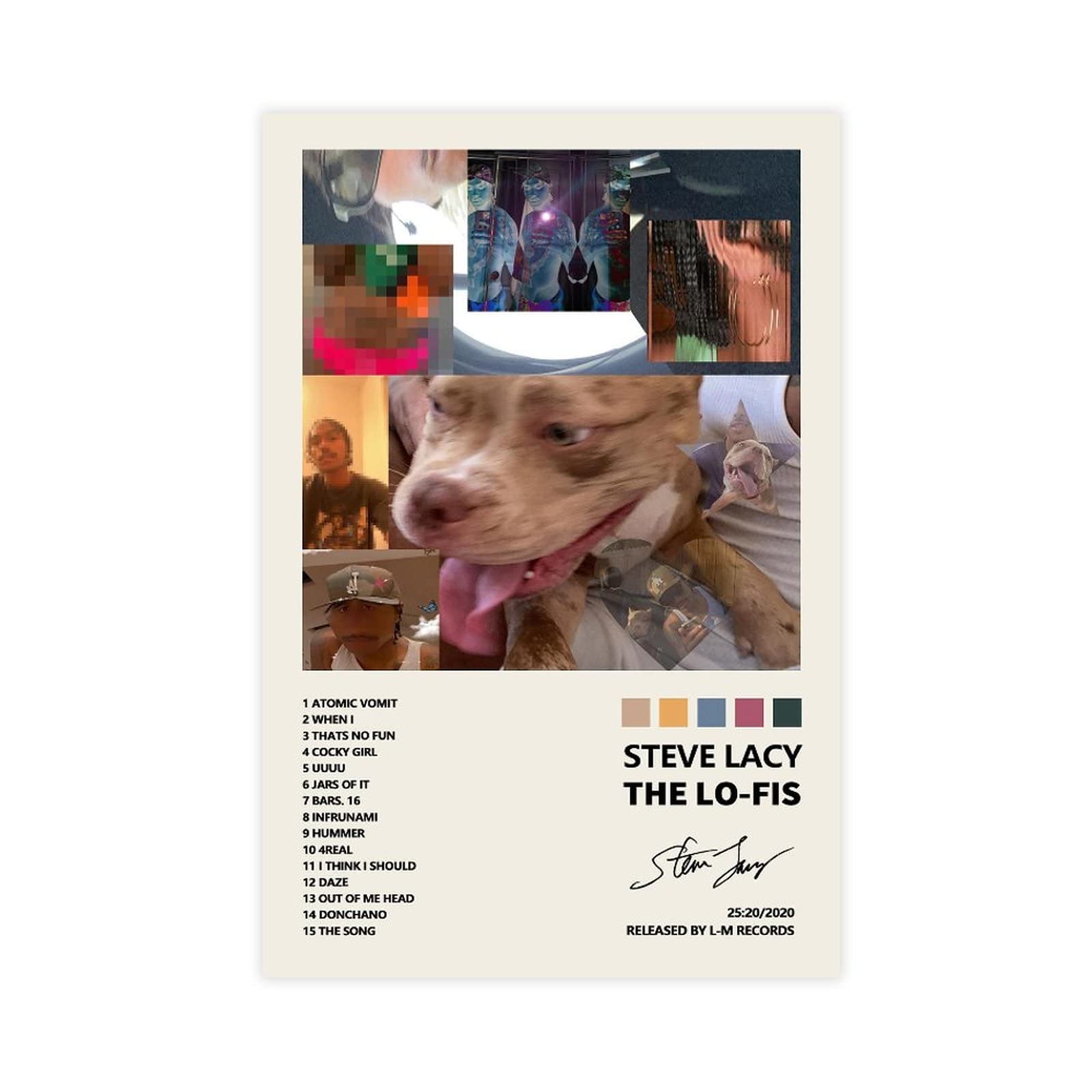 T Lacy Rapper Gemini Rights Steve Lacy Demo Album Cover Poster - Canvas Wall Art ...