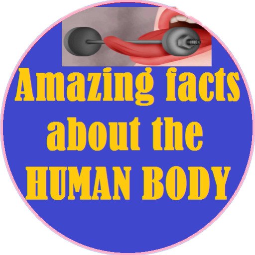 Awesume Body HUMAN BODY {AMAZING FACTS} - App on Amazon Appstore