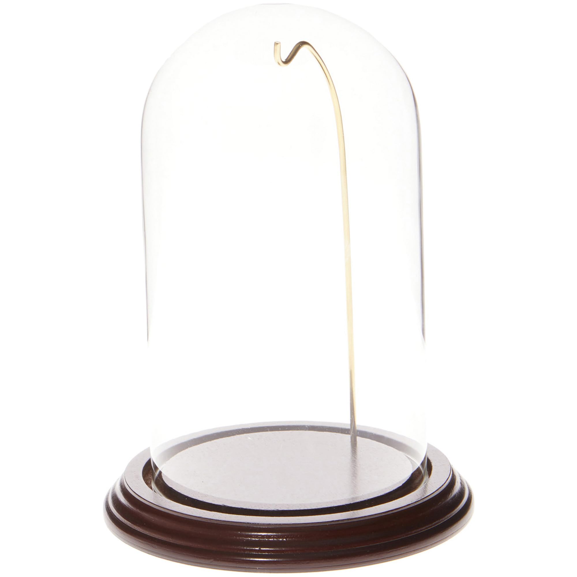 Cloche dôme en verre avec base bois acajou et fil doré pour exposition 10x17