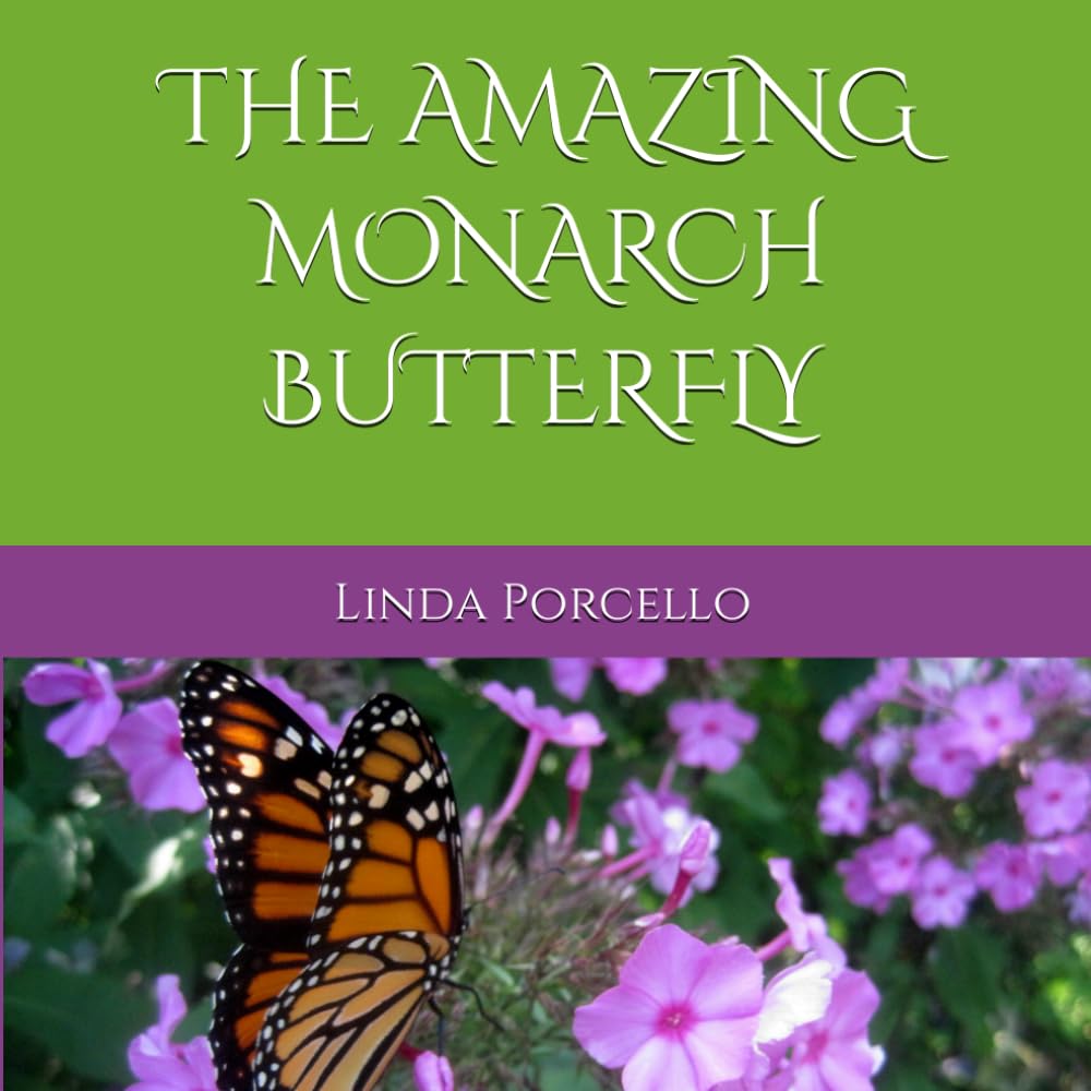 THE AMAZING MONARCH BUTTERFLY