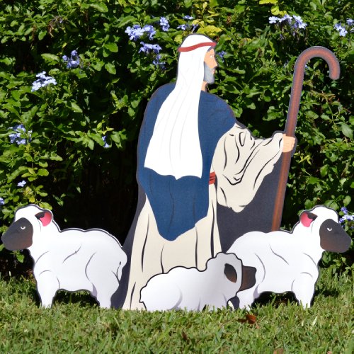 Teak Isle Printed Nativity Shepherd with Sheep