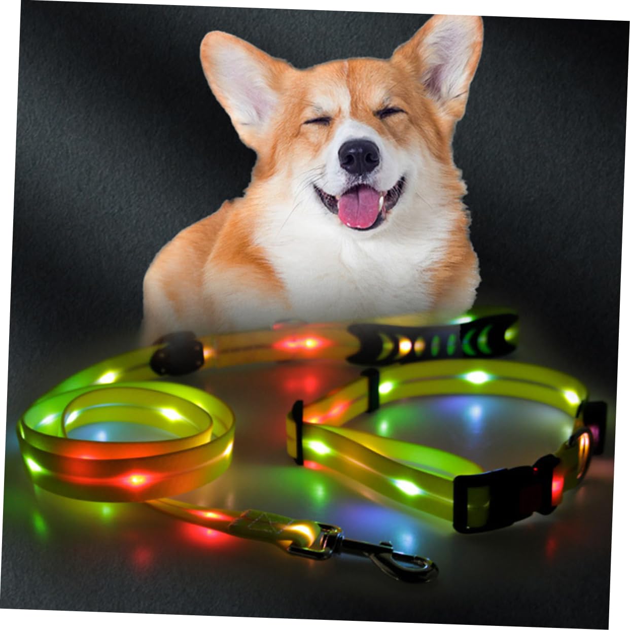 1juego Correa De Entrenamiento para Perros y Gatos Cuerda Luminosa Led Collar Resistente y Duradera para Paseos Nocturnos y Seguridad Mascotas