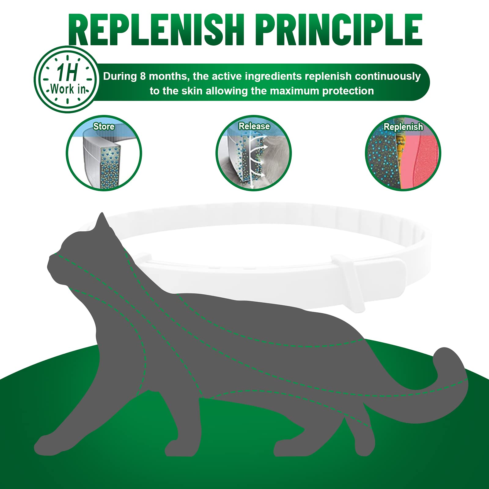 Collare Antiparassitario per Gatti, Collare Antipulci per Gatti Impermeabile Regolabile Naturale con Protezione di 8 Mesi, Si Illumina al Buio, Soluzione Sicuro Contro i Parassiti per Gatto