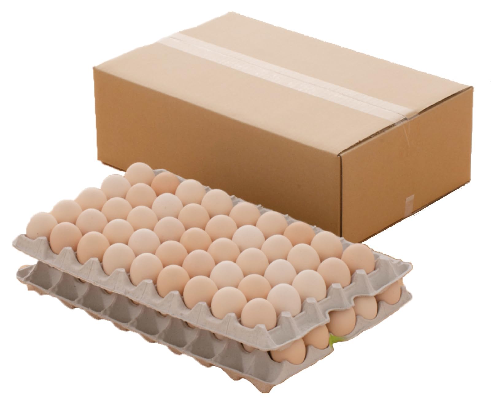 Amazon.co.jp: 出雲ファームのこめたまご 5kg（お米育ちのニワトリの 